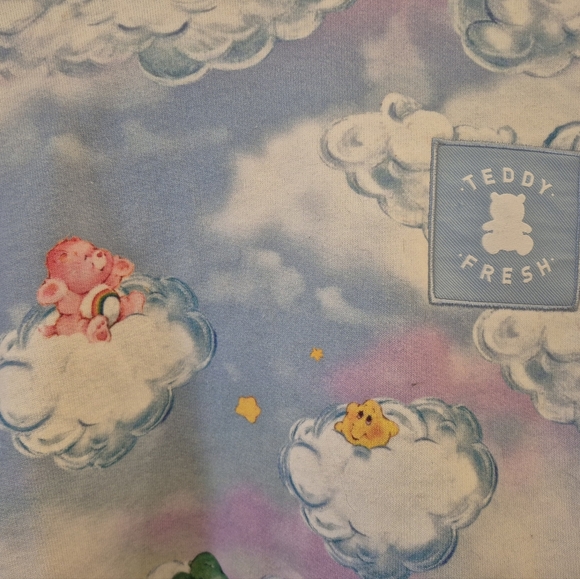 Rare Care Bear X Teddy Fresh 100% Cotton Hoodie - Picture 3 of 4